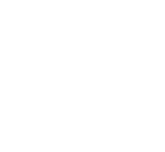 Logo 37